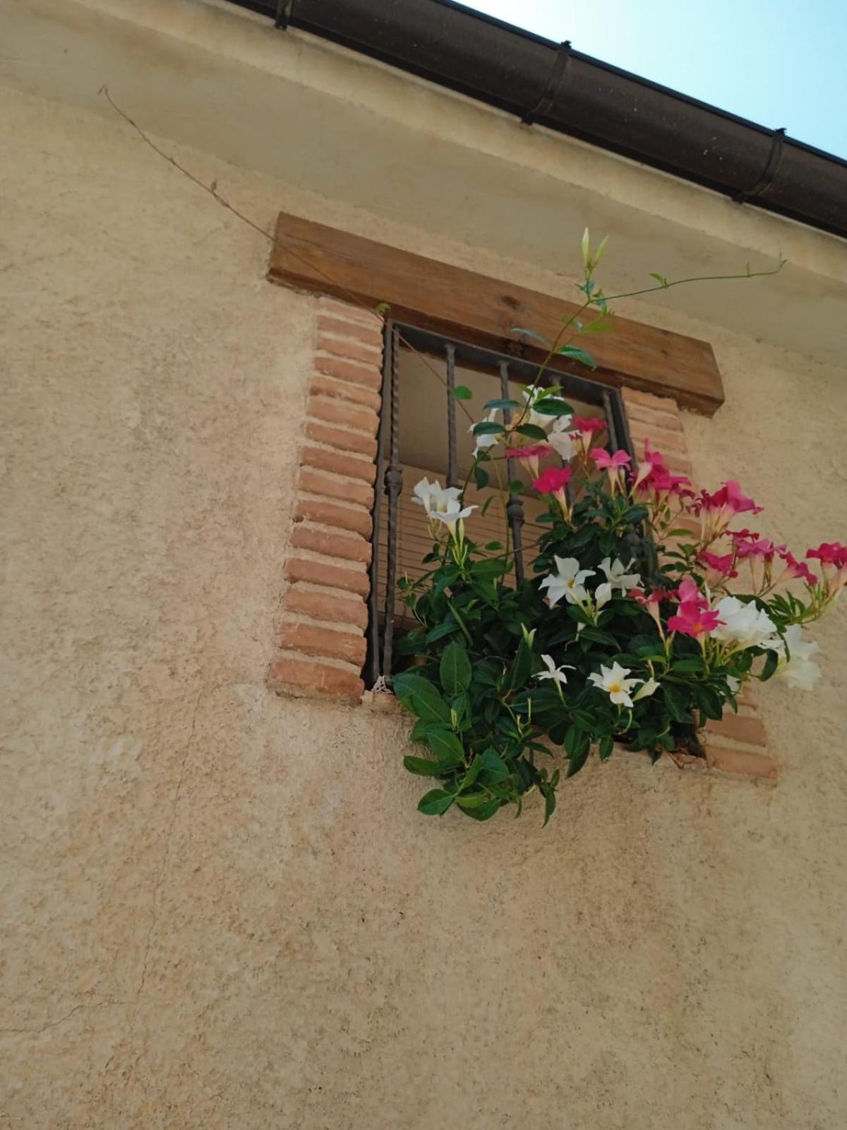 Apartament Cal Tom La Vilella Baixa Zewnętrze zdjęcie